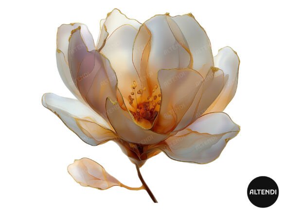 Elevate Your Projects with Abstract Magnolia Clipart