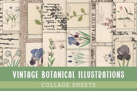 Timeless Nature on Your Desk: Vintage Botanical Illustrations