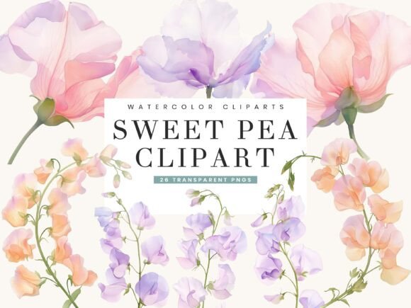 Watercolor Sweet Pea Clipart Bundle: Floral Design Assets